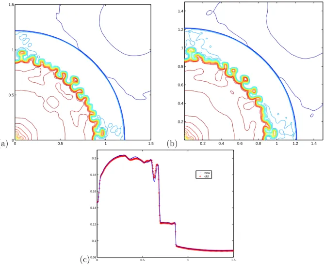 Figure 5.4: Example 5: explosion. Contours (a)and (b) are by new and old schemes respectively