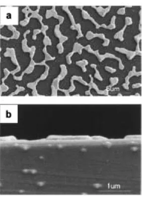 Fig. 3.14 SEM (a) surface and (b) cross-sectional image of Pt/Ti/SiO2/Si wafer after  annealing at 800℃  for 2 h showing the TiOx islands on the surface of Pt  film formed by the migration of Ti through the Pt-grain boundaries