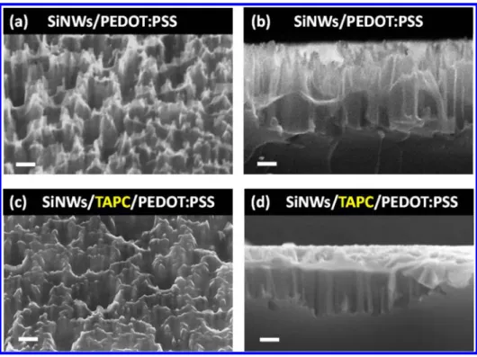 Figure 2. (a) Surface and (b) cross-sectional morphology of PEDOT:PSS coated on silicon nanowires (SiNWs)
