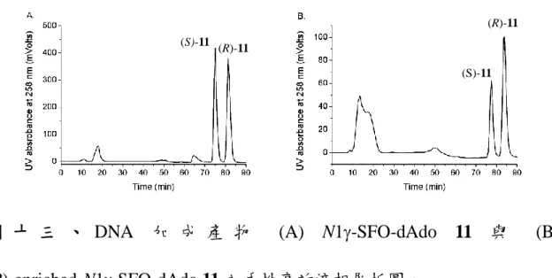 圖 十 三 、 DNA 加 成 產 物   (A)  N1  -SFO-dAdo  11  與   (B)  (R)-enriched-N1  -SFO-dAdo 11 之手性高效液相層析圖。 