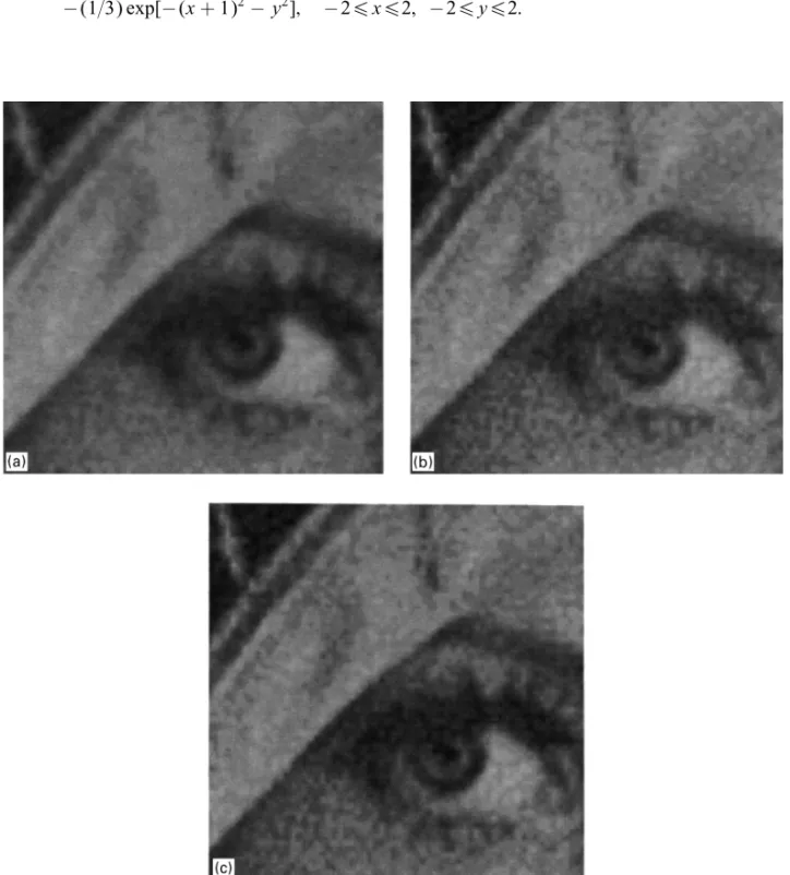 Fig. 8. Resampling using three dierent methods. (a) Fuzzy rule-based interpolation algorithm; (b) bilinear interpolation algorithm; (c) cubic convolution interpolation algorithm.