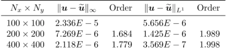 Table 10.1: Absolute errors and order of accuracy of the numerical velocity e u for Case 3.