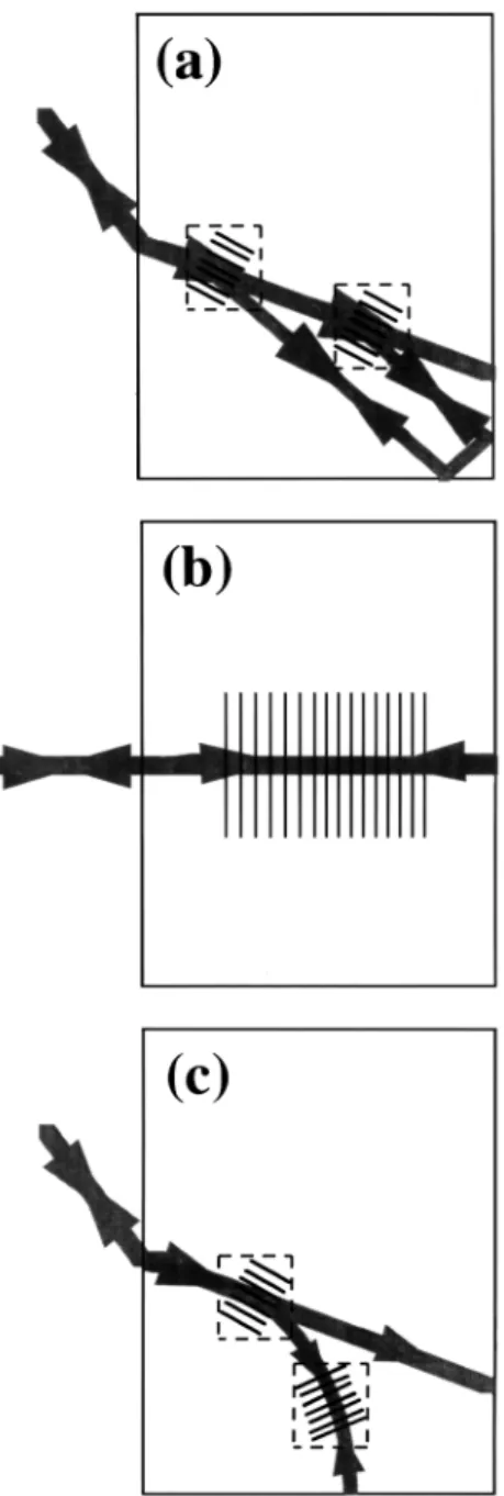 Fig. 1. Different modes of SPPC: (a) FWM-TIR, ( b) SPB, and (c) FWM-SPB.