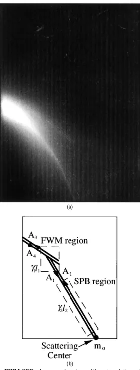 Fig. 2. FWM-SPB phase conjugator with a two-interaction re- re-gion: (a) photograph of the optical beam path in a Ce:BaTiO 3