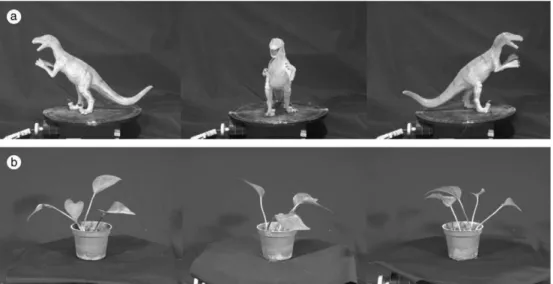 Fig. 18. Three of the 36 input images corresponding to the turntable rotation angles of 0°, 90°, and 180° for (a) a dinosaur and (b) a pot plant.