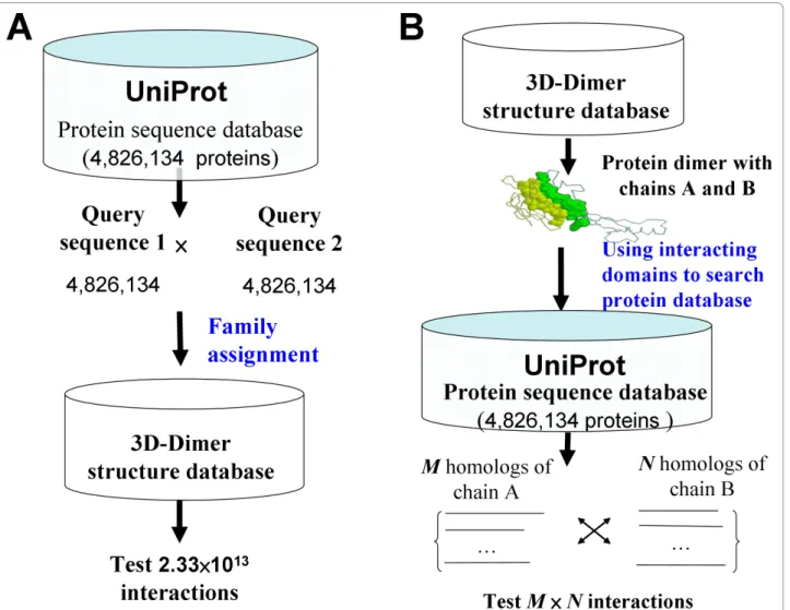 Figure 1 Two frameworks of template-based methods for protein-protein interactions (PPI)