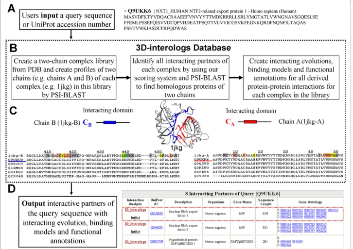 Figure 2 Overview of the 3D-interologs database for protein-protein interacting evolution, protein functions annotations and binding models across multiple species.