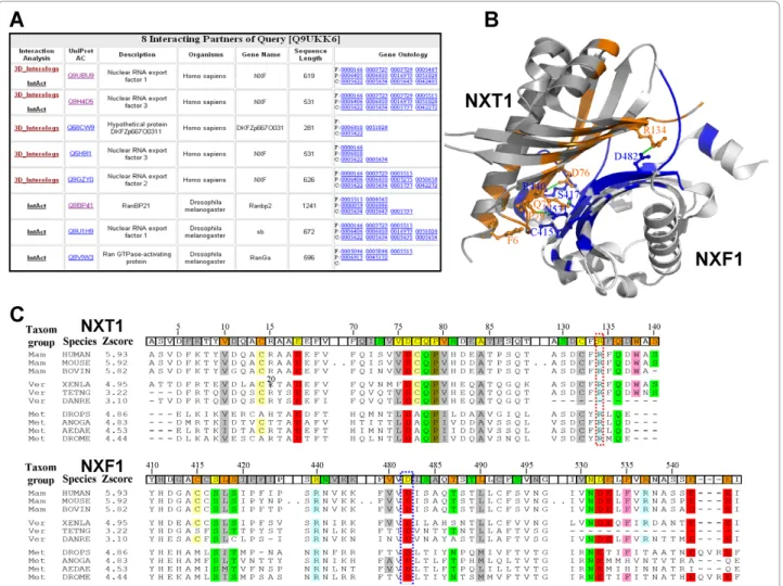 Figure 4 The 3D-interologs database search results of using human NXT1 (UniProt accession number Q9UKK6) as query