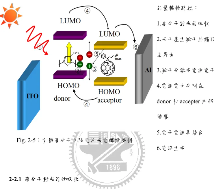 Fig. 2-5：有機高分子太陽電池光電轉換機制  能量轉換路徑：  1.高分子對光能吸收  2.光子產生激子並擴散至界面 3.激子分離成電洞電子4.電洞電子分別在donor 和 accepter 內部傳導 5.電子電洞再結合  6.電流生成 2-2.1  高分子對光能的吸收          一般而言，入射光能量大於或等於有機高分子之能隙就可被吸收。Fig