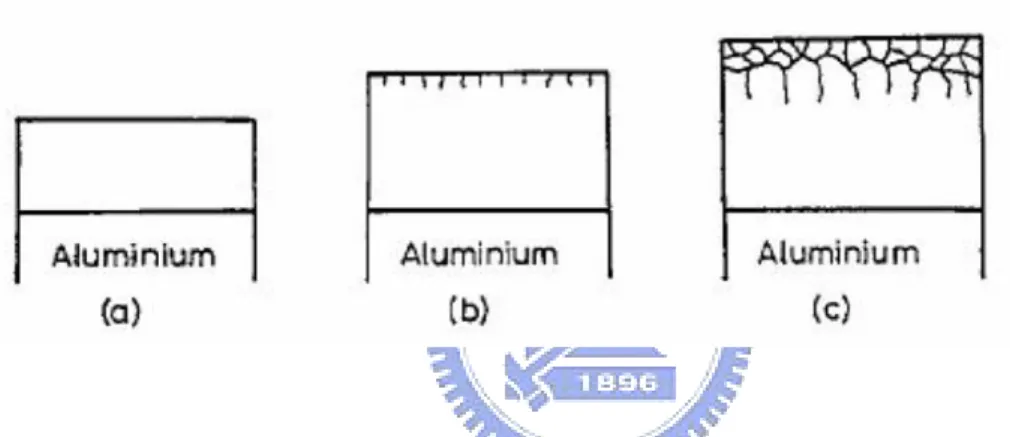 Fig. 1.3-4: The process of the partial electric field in the Al 2 O 3  surface. 