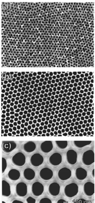 Fig. 1.3-5: 1. SEM micrographs of the bottom view of anodic alumina layers.  Anodization was conducted in 0.3 M (1.7 wt %) sulfuric acid at 10 °C at  25 V (a), 0.3 M (2.7 wt %) oxalic acid at 1 °C at 40 V (b), and 10 wt %  phosphoric acid at 3 °C at 160 V 