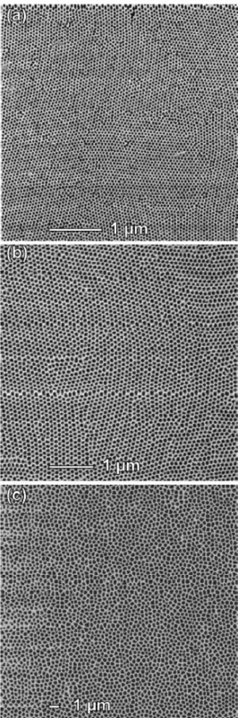 Fig. 1.3-6: Lower magnification SEM micrographs of porous alumina anodized in  sulfuric (a), oxalic (b), or phosphoric acid (c)