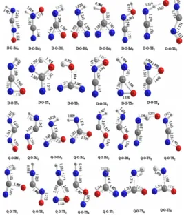 Fig. 1. Optimized geometries of the O( 3 P) + HNCN reaction computed at the CCSD/6-311++G(d, p) level.