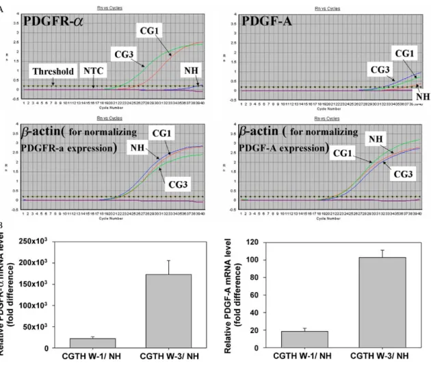 Fig. 3. Quantitative PCR reconfirm the tendency towards up-regulation expression of PDGF-A and PDGFR-a in CGTH W-1 and CGTH W-3 cell lines