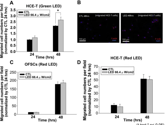 Fig. 3. LED irradiation-induced cell migration was wavelength speciﬁc green LED irradiation enhanced human corneal epithelial (HCE-T) cells migration (A), and F-actin signal in migrated HCE-T cells was not signiﬁcantly increased by green LED irradiation (B