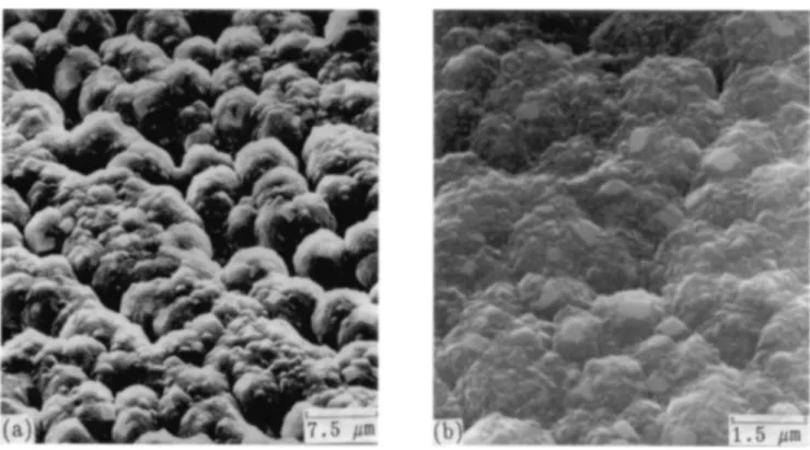 FIG. 4. SEM micrographs showing morphology of diamond films deposited at 980 °C on cemented carbides: (a) without pretreatment, 4 h deposition time; (b) SP3 pretreatment, 2 h deposition time.