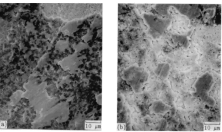FIG. 8. The corresponding micrographs in Fig. 5 showing morphologies after tribotests: (a) 980 °C; (b) 920 °C.