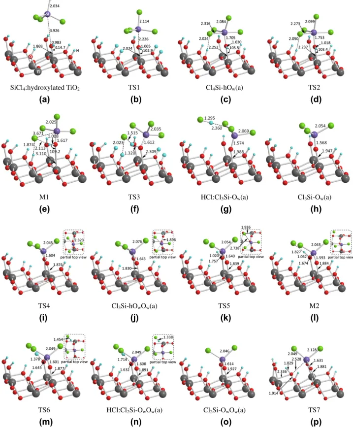 Fig. 4. Optimized geometries of adsorbed SiCl x on the hydroxylated TiO 2 anatase (1 0 1) surface