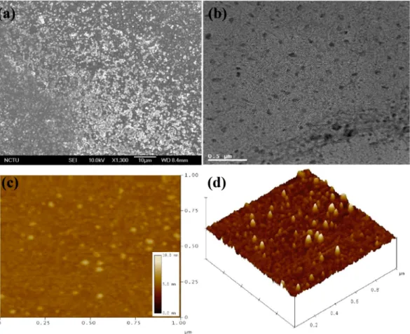 Figure 2. (a) SEM image of ND-Cys at 10 µg/mL dispersion; (b) TEM image of ND-Cys at 10 pg/mL 