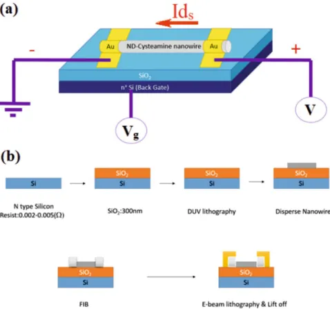 Figure 8. (a) Device Schematic of a single G-DNW fabrication and (b) Fabrication steps involved in single ND- ND-Cys NW device.