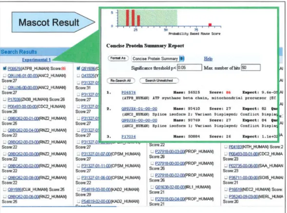 Figure 3. Result list of candidate proteins. [Color ﬁgure can be viewed in the online issue, which is