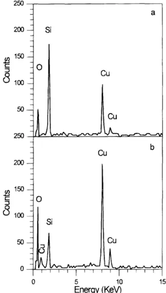 Fig.  7.  EDX spectra from  (a)  the  dark  region  inside the  rimmed  nodule of Fig