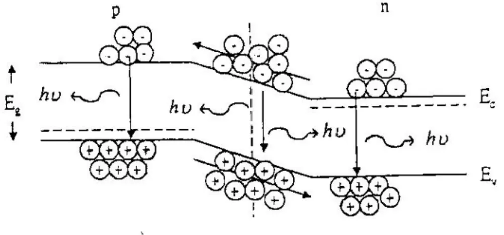 圖 2-6 光子的自發放射過程[13] 