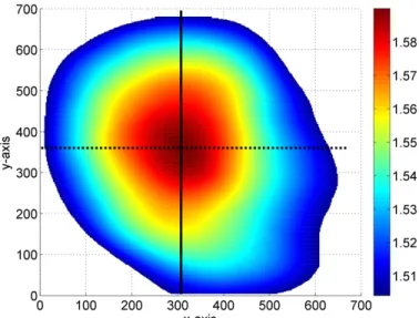 Fig. 2  Full-field refractive index distribution of the GRIN Lens. 