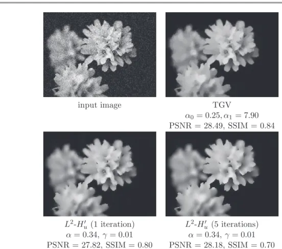 Figure 10. Nonlocal Hessian-based denoising with L 2 data ﬁdelity (p = 2) on the real-world “ﬂowers” image (top left) with σ = 0.1 Gaussian noise