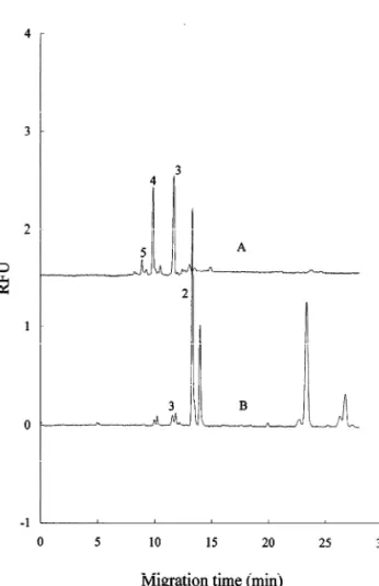 Fig. 7. Electropherogram of APTS-derivatized chitin oligosac- oligosac-Fig. 6. Electropherogram of APTS-derivatized chitin oligosac- charides from two different enzymatic digestions