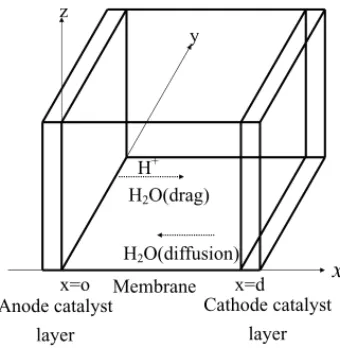 Fig. 1. Schematic diagram of physical system.