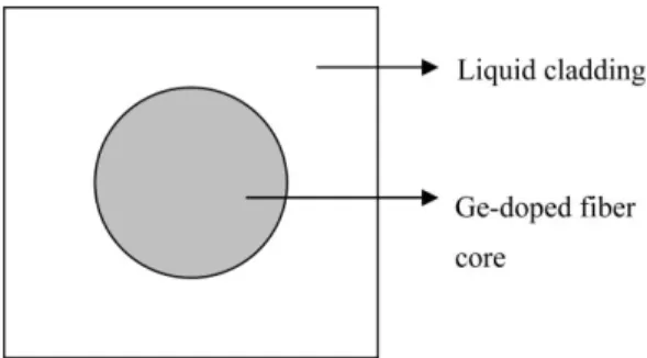 Figure 1 shows the schematic diagram of the Ge-doped ﬁber core with liquid cladding. The amount of Ge-doping, waveguide  diam-eter d, and index of liquid cladding are key parameters for  broad-band ﬂattened GVD and wide broad-bandwidth SC
