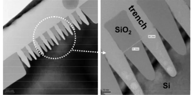 Figure 1. XTEM images of the 50 nm SiO 2 trenches fabricated using the