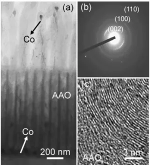 Fig. 3. (a) Cross-sectional TEM image of the very sample shown in Fig. 2b . The surface was covered with an amorphous Si film to protect the exposed CNTs