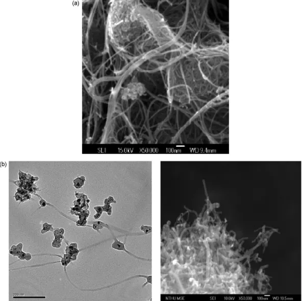 Fig. 3. SEM and TEM images of m-CNTs: (a) SEM images before UV/Ozone treatment, (b) TEM (left) and SEM (right) images after UV/ozone treatment.