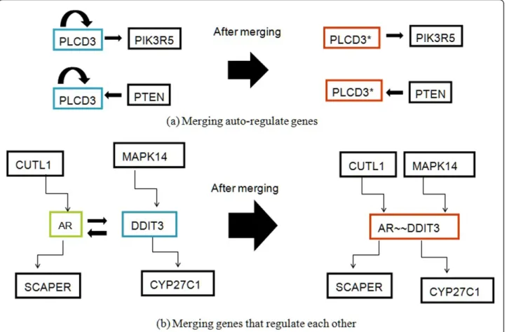 Figure 1 An overview of merging vertices. Figure 1(a) shows the concept of merging auto-regulate genes