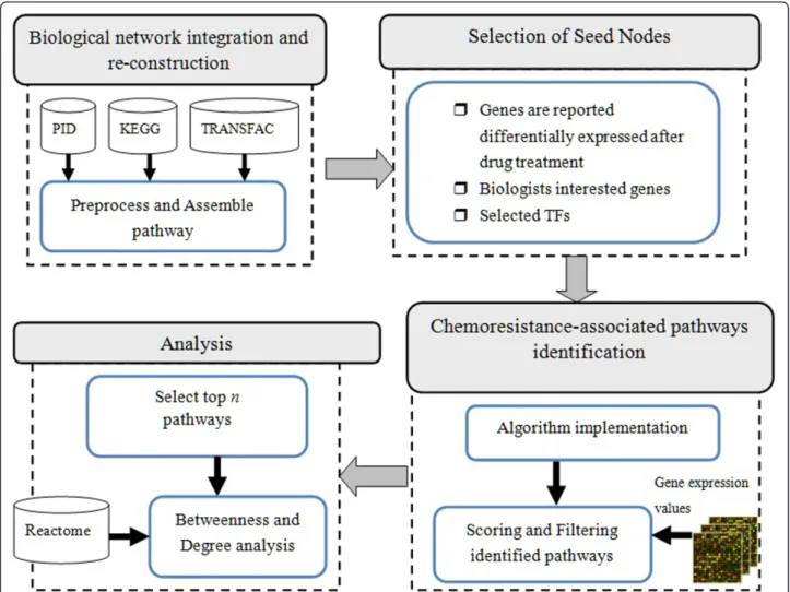 Figure 2 System architecture. The system is composed of four major parts, including heterogeneous biological network integration, seed nodes selection, pathways identification, and differential expression analysis