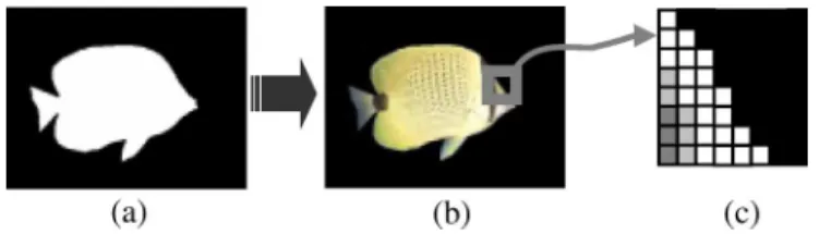 Fig. 1. Relation among (a) shape, (b) texture, and (c) boundary block in a video object.