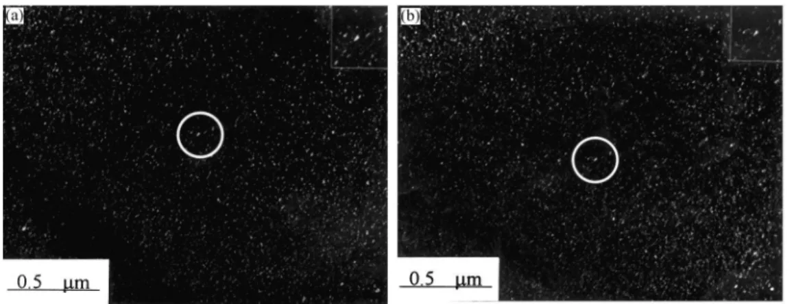 Fig. 3. (a)–(b) Two DF electron micrographs, which were taken with the reflection spots marked as 1 and 2 in Fig