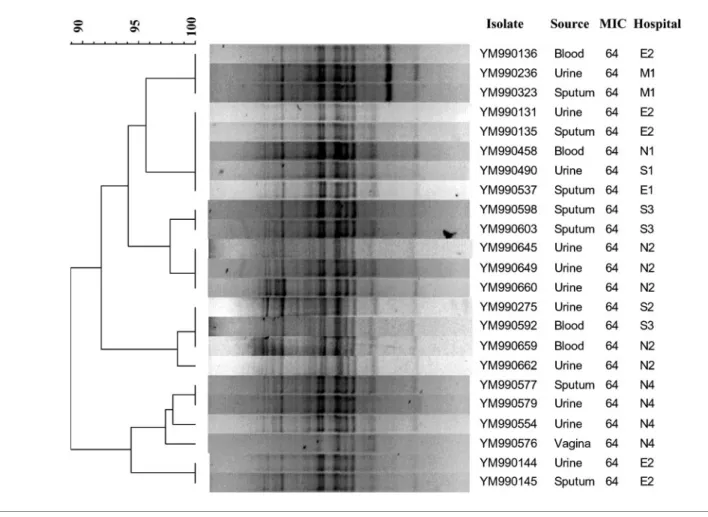 Fig. 1. Dendrogram of the 23 fluconazole-resistant C. tropicalis isolates. Cluster analysis was based on the patterns of the RAPD assay