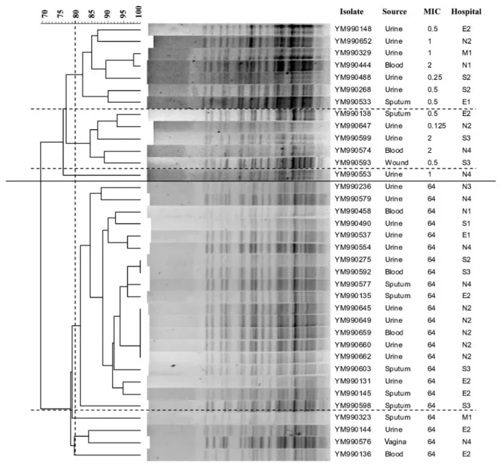 Fig. 2. Dendrogram of the 23 resistant and 13 susceptible C. tropicalis isolates. Cluster analysis of the 36 isolates was based on the patterns of BssHII restriction endonuclease analysis of genomic DNA