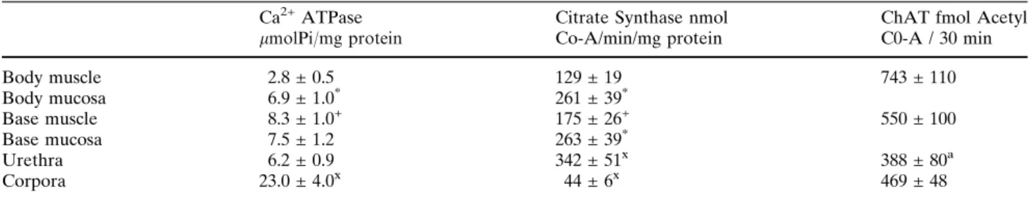 Figure 1 shows the effect of castration on Ca 2+ ATPase activity. The activity of the bladder body mucosa was significantly greater than the activity than bladder body muscle layer