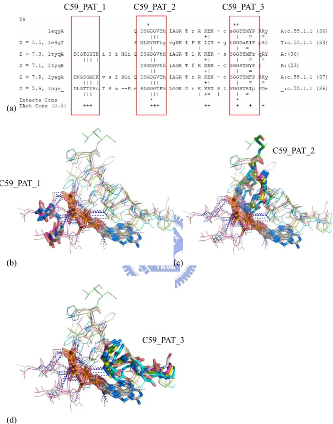 Figure 4.  The potential motifs in the cluster 59.    (a) The multiple structure alignment of the  cluster 59 with showing the potential motifs, C59_PAT_1, C59_PAT_2, and  C59_PAT_3