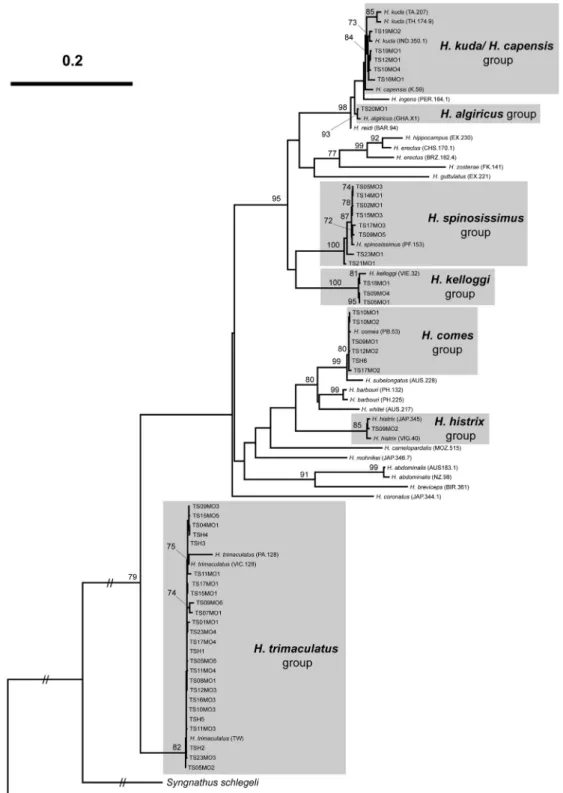 Fig. 1 shows the results of the phylogenetic analysis of sea- sea-horse haplotypes from the investigated samples and the  Gen-Bank database