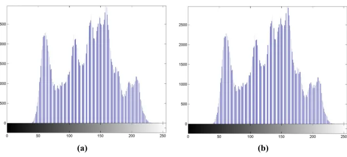 Figure 2.  (a) Histogram of Lena. (b) After performing Step 3. Correlation coefficient   = 0.9957