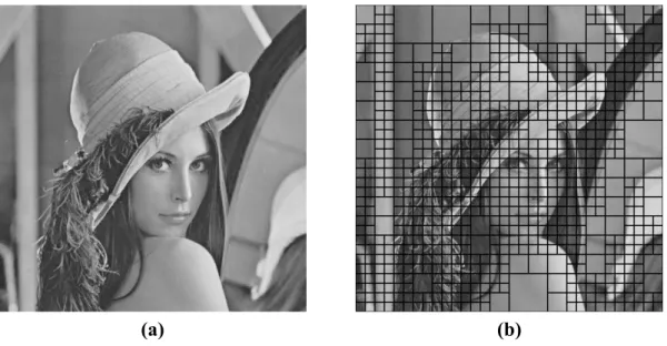 Figure 3. (a) The Lena test image. (b) After quadtree decomposition of Lena. 