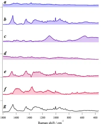 Figure 2.  MCR-ALS spectral components from Patient-1 OSCC tissue sample (a–f) and the standard  keratin spectrum (g); the spectral component (b) shows excellent correspondence with the standard keratin  spectrum (g)