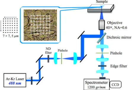 Figure 5.  A schematic diagram of the laboratory-constructed Raman microspectrometer. 