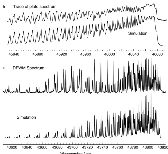 Fig. 2. Spectra and simulation of (a) DFWM spectrum of the (8,2) band of the B–X transition and (b) absorption spectrum of the (8,0) band