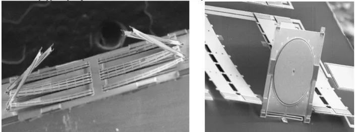 Fig. 3 SEM pictures of released back-to-back micromirror devices with thermal heat-treatment 